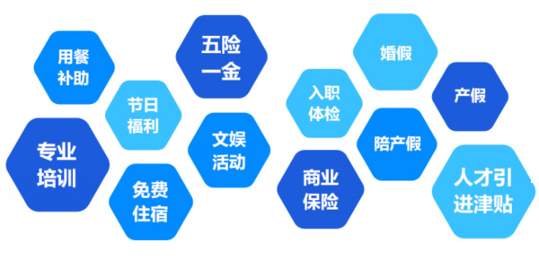 提供全面、系統(tǒng)、專業(yè)的培訓(xùn)和廣闊的<br>職業(yè)發(fā)展空間和提升機(jī)會(huì)